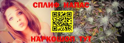 мдпв Донецк