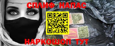 спиды Донской