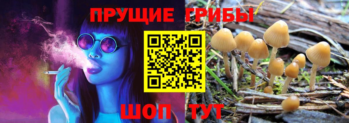 Мирный  Галлюциногенные грибы Psilocybine cubensis  наркота  Вход с VPN  Галлюциногенные грибы мицелий 