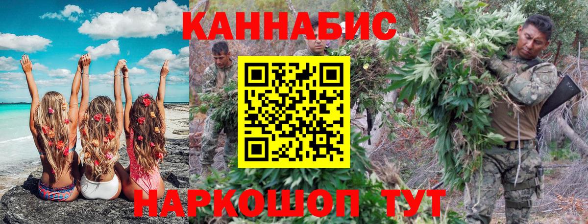 Каннабис планчик  Марихуана семена  Мирный  Каннабис Amnesia  Вход с VPN 
